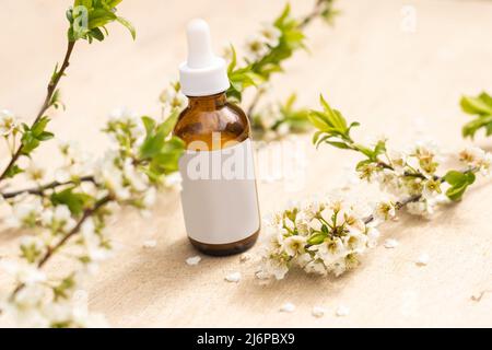 Vue de dessus de la maquette de la bouteille blanche. Petites fleurs blanches. Médicaments ou cosmétiques - crème, gel, soins de la peau, dentifrice. Banque D'Images