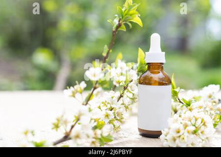 Vue de dessus de la maquette de la bouteille blanche. Petites fleurs blanches. Médicaments ou cosmétiques - crème, gel, soins de la peau, dentifrice. Banque D'Images