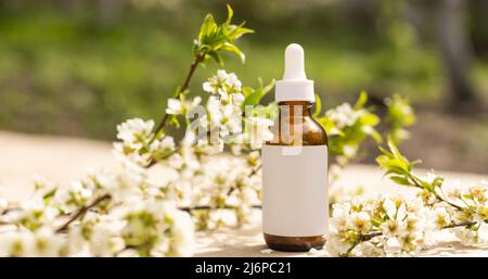 Vue de dessus de la maquette de la bouteille blanche. Petites fleurs blanches. Médicaments ou cosmétiques - crème, gel, soins de la peau, dentifrice. Banque D'Images