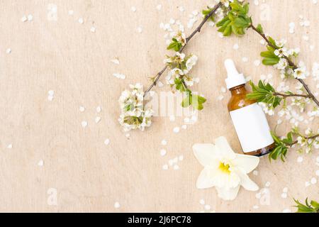 Vue de dessus de la maquette de la bouteille blanche. Petites fleurs blanches. Médicaments ou cosmétiques - crème, gel, soins de la peau, dentifrice. Banque D'Images