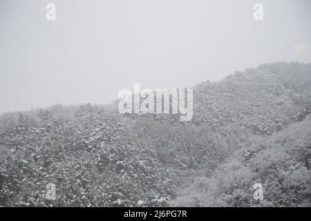 La neige tombe dans les montagnes japonaises sous un ciel nuageux Banque D'Images