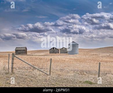 Silos à grains en bois et en acier dans un champ agricole près de Mossleigh, Alberta, Canada Banque D'Images