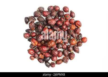 Pile de graines de rosehip sèches isolées sur fond blanc. Rosa canina ci-dessus Banque D'Images