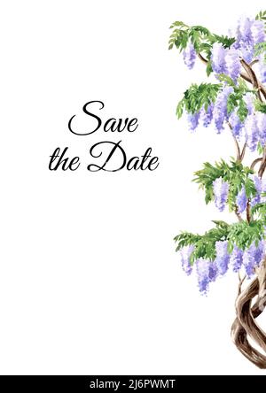 Wisteria Blossom enregistrer la date invitation ou carte de voeux, dessin à la main aquarelle illustration isolée sur fond blanc Banque D'Images