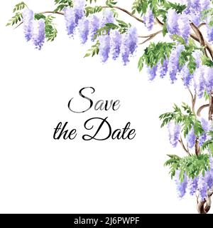 Wisteria Blossom enregistrer la date invitation ou carte de voeux, dessin à la main aquarelle illustration, isolé sur fond blanc Banque D'Images