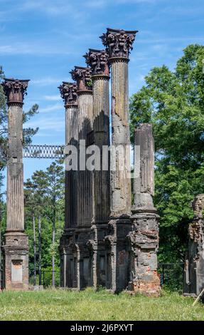 Ruines de Windsor près de Port Gibson, Mississippi, ruines de l'une des plus grandes maisons d'avant-guerre jamais construites, situé à côté de la Natchez Trace Parkway, États-Unis. Banque D'Images