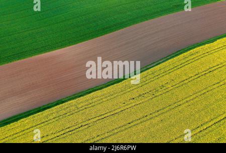 03 mai 2022, Bavière, Castell : un champ de colza en fleur, un sol arable brun et un champ déjà vert forment un modèle géométrique vu d'un point de vue d'oiseau (image prise avec un drone). Photo : Karl-Josef Hildenbrand/dpa Banque D'Images