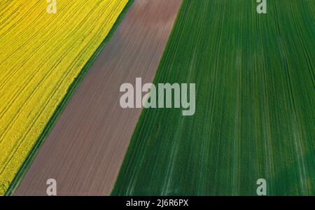 03 mai 2022, Bavière, Castell : un champ de colza en fleur, un sol arable brun et un champ déjà vert forment un modèle géométrique vu d'un point de vue d'oiseau (image prise avec un drone). Photo : Karl-Josef Hildenbrand/dpa Banque D'Images