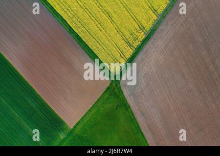 03 mai 2022, Bavière, Castell : un champ de colza en fleur, un sol arable brun et un champ déjà vert forment un modèle géométrique vu d'un point de vue d'oiseau (image prise avec un drone). Photo : Karl-Josef Hildenbrand/dpa Banque D'Images