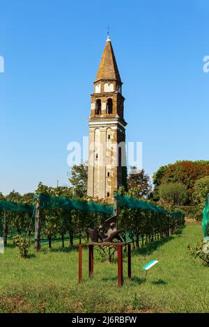 VENISE, ITALIE - 9 SEPTEMBRE 2018 : ce sont les vignobles et le campanile de Sant Angelo dans l'ancien parc du monastère sur l'île de Mazzorbo. Banque D'Images