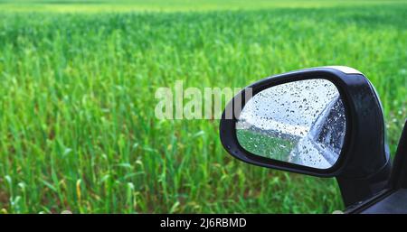 détail d'un rétroviseur intérieur d'une voiture sur un champ de céréales humide Banque D'Images