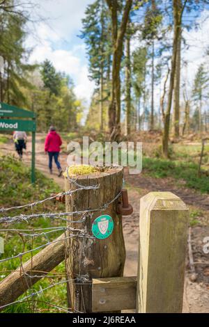 Les marcheurs marchent le long de la piste Mortimer, un sentier de randonnée longue distance marqué de chemin et marchent dans les comtés de Shropshire et Herefordshire en Angleterre. Banque D'Images