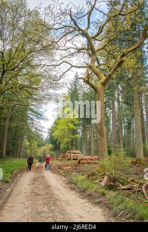 Les marcheurs marchent le long de la piste Mortimer, un sentier de randonnée longue distance marqué de chemin et marchent dans les comtés de Shropshire et Herefordshire en Angleterre. Banque D'Images