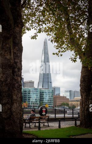 Une image paisible du Shard vue de l'autre côté de la Tamise entre les arbres Banque D'Images