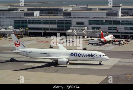 Un Boeing 787 de Japan Airlines, un taxi passagers, est disponible à l'aéroport international de San Francisco, en Californie. Banque D'Images