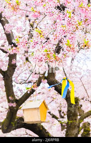 Arbre de fleur de cerisier rose avec Birdhouse et rubans bleus et jaunes pour soutenir l'Ukraine Banque D'Images