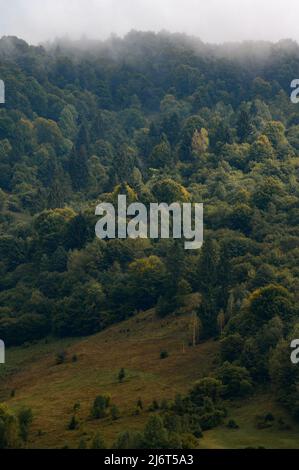 Paysages des Carpates ukrainiens, un voyage dans les chaînes de montagnes en Ukraine, l'horizon est couvert de nuages. Banque D'Images