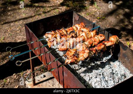 Barbecue de cuisine dans la nature. Camping et pique-nique Banque D'Images