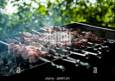 Barbecue de cuisine dans la nature. Camping et pique-nique Banque D'Images