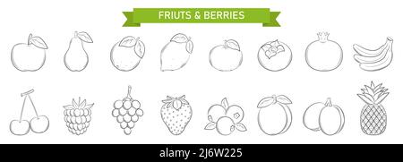 Un ensemble d'icônes linéaires pour les fruits et les baies dans le style Doodle. Les éléments de conception sont dessinés à la main et isolés sur un fond blanc. Vecto noir et blanc Illustration de Vecteur