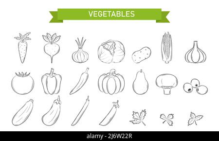 Un ensemble d'icônes linéaires pour les légumes, les champignons et les olives dans le style Doodle. . Les éléments de conception sont dessinés à la main et isolés sur un fond blanc. Noir an Illustration de Vecteur