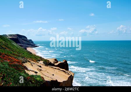 Paysage pittoresque de la plage de Formoza avec des plantes colorées sur la colline et l'océan Atlantique sans fin. Silveria, Portugal Banque D'Images