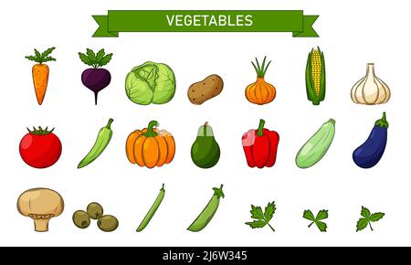 Un ensemble d'icônes linéaires colorées pour les légumes, les champignons et les olives. Concevoir des éléments dans un style plat avec un trait. Dessiné à la main et isolé sur un bac blanc Illustration de Vecteur