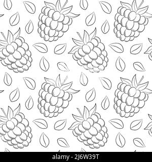 Motif sans couture avec framboises et feuilles. Les éléments linéaires simples dessinés à la main en noir et blanc sont isolés sur un fond transparent. Pour les desi Illustration de Vecteur