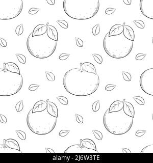 Motif sans couture avec oranges et mandarines. Les éléments linéaires noirs et blancs dessinés à la main sont isolés sur un fond transparent. Pour la conception de k Illustration de Vecteur