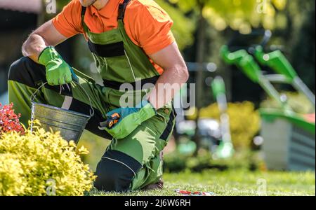 Entretien de printemps de jardin résidentiel effectué par le jardinier caucasien professionnel dans son 40s. Thème de l'industrie du jardinage. Banque D'Images