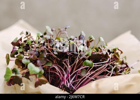 Pousses de radis micro-verts avec mise au point sélective douce. Les feuilles vertes et les tiges violettes se rapprochent sur du papier kraft sur fond gris. Germinant des graines à la maison ou achetant des verts pour une alimentation saine. Banque D'Images