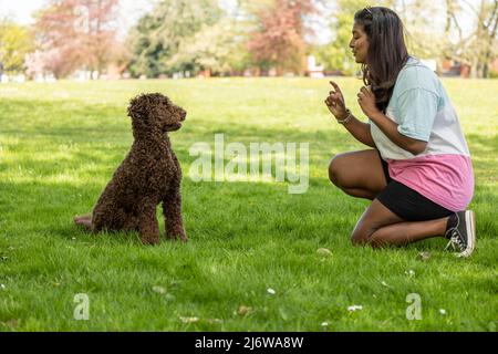 Une femme asiatique joue avec un chien chiot dans un parc de la ville. Jeune femme enseignant et chien d'entraînement à s'asseoir Banque D'Images