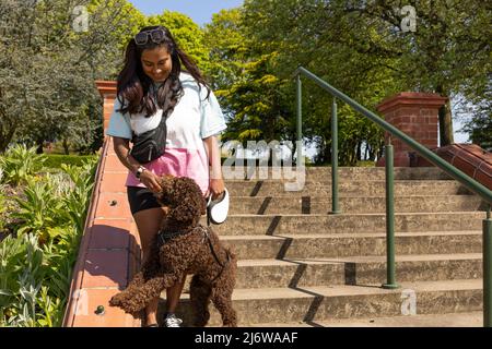 Une femme asiatique joue avec un chien chiot dans un parc de la ville. Jeune femme enseignant et formant chien d'être obéissant et de suivre des ordres Banque D'Images