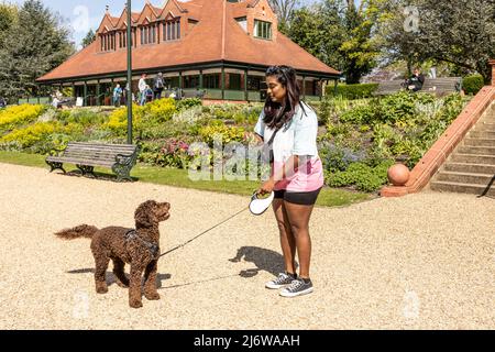 Une femme asiatique joue avec un chien chiot dans un parc de la ville. Jeune femme enseignant et formant chien d'être obéissant et de suivre des ordres Banque D'Images