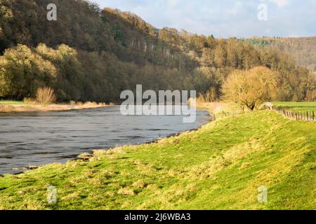 Rivière Weser près de Gewissenruh, Wesertal, Weserbergland, Hesse, Allemagne Banque D'Images