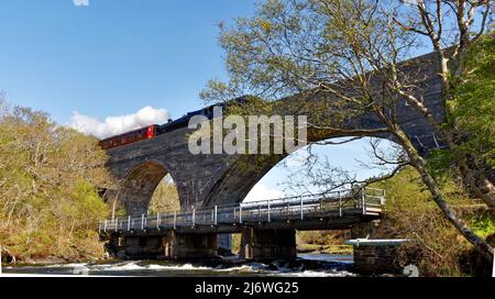 TRAIN À VAPEUR JACOBITE TRAVERSANT LE VIADUC AU-DESSUS DE LA RIVIÈRE MORAR HIGHLAND SCOTLAND AU PRINTEMPS Banque D'Images