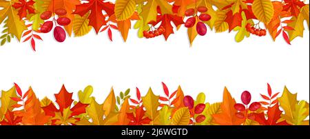 Cadre avec rayures de feuilles d'automne et de baies. Bordure horizontale automnale vectorielle avec feuillage rouge et jaune de chêne, érable, rowan. Contexte de vente, de retour à l'école ou de fêtes d'action de grâce Illustration de Vecteur