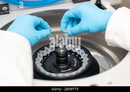 Un employé de laboratoire dépose des tubes chimiques dans la centrifugeuse. Biochimie et laboratoire de recherche concept. Analyse d'ADN et de produits pharmaceutiques. Banque D'Images