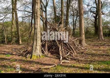 coin bois créé avec des bâtons et des branches parmi les arbres Banque D'Images