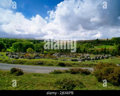 Voir WNW of Kestor Round Pound, Dartmoor, Devon, Angleterre, Royaume-Uni : une enceinte en pierre et une grande maison ronde en service à l'âge du bronze et du fer. Banque D'Images