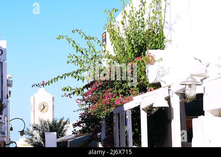 Oia, Santorini, Iles grecques, Grèce - rue principale bordée de boutiques et tour de l'horloge à distance Banque D'Images