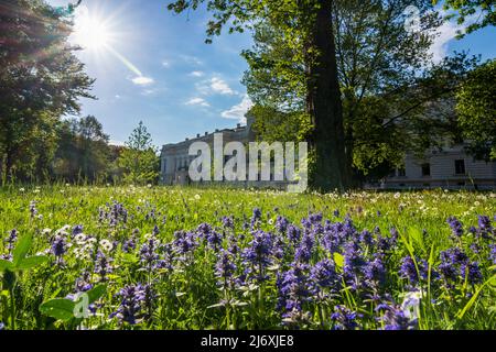 Wien, Vienne: parc Liechtensteinpark, palais de jardin pour la veuve du prince de Heinrich von Ferstel en 09. Alsergrund, Vienne, Autriche Banque D'Images