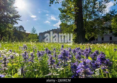 Wien, Vienne: parc Liechtensteinpark, palais de jardin pour la veuve du prince de Heinrich von Ferstel en 09. Alsergrund, Vienne, Autriche Banque D'Images