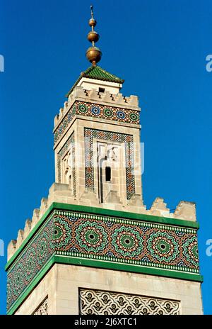 La Grande Mosquée de Paris, construite dans le style hispano-mauresque en 1926, est la plus grande de France, avec son minaret de 33 mètres de haut. Banque D'Images