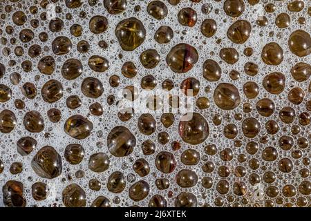 Bulles créées d'huiles naturelles issues de la décomposition végétale à la surface d'un lac dans le centre du Michigan, aux États-Unis Banque D'Images