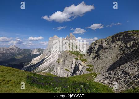 Un pré vert menant à une vue panoramique de la chaîne de montagnes d'Odle, vue depuis le plateau de Seceda Banque D'Images