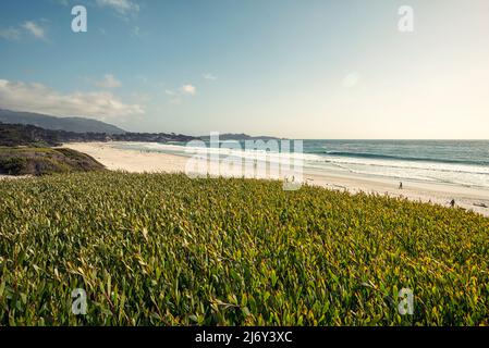 Carmel Beach l'après-midi d'avril. Carmel-by-the-Sea, Californie, États-Unis. Banque D'Images