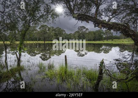 Les eaux d'inondation empiétent sur les terres agricoles pendant les précipitations exceptionnellement élevées de février et mars 2022, près de Mandalong, Nouvelle-Galles du Sud, Australie Banque D'Images