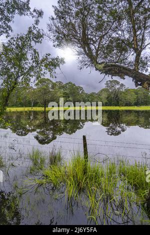 Les eaux d'inondation empiétent sur les terres agricoles pendant les précipitations exceptionnellement élevées de février et mars 2022, près de Mandalong, Nouvelle-Galles du Sud, Australie Banque D'Images