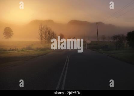 Route de campagne avec brume matinale, près de Gloucester, Hunter Valley, Nouvelle-Galles du Sud, Australie Banque D'Images